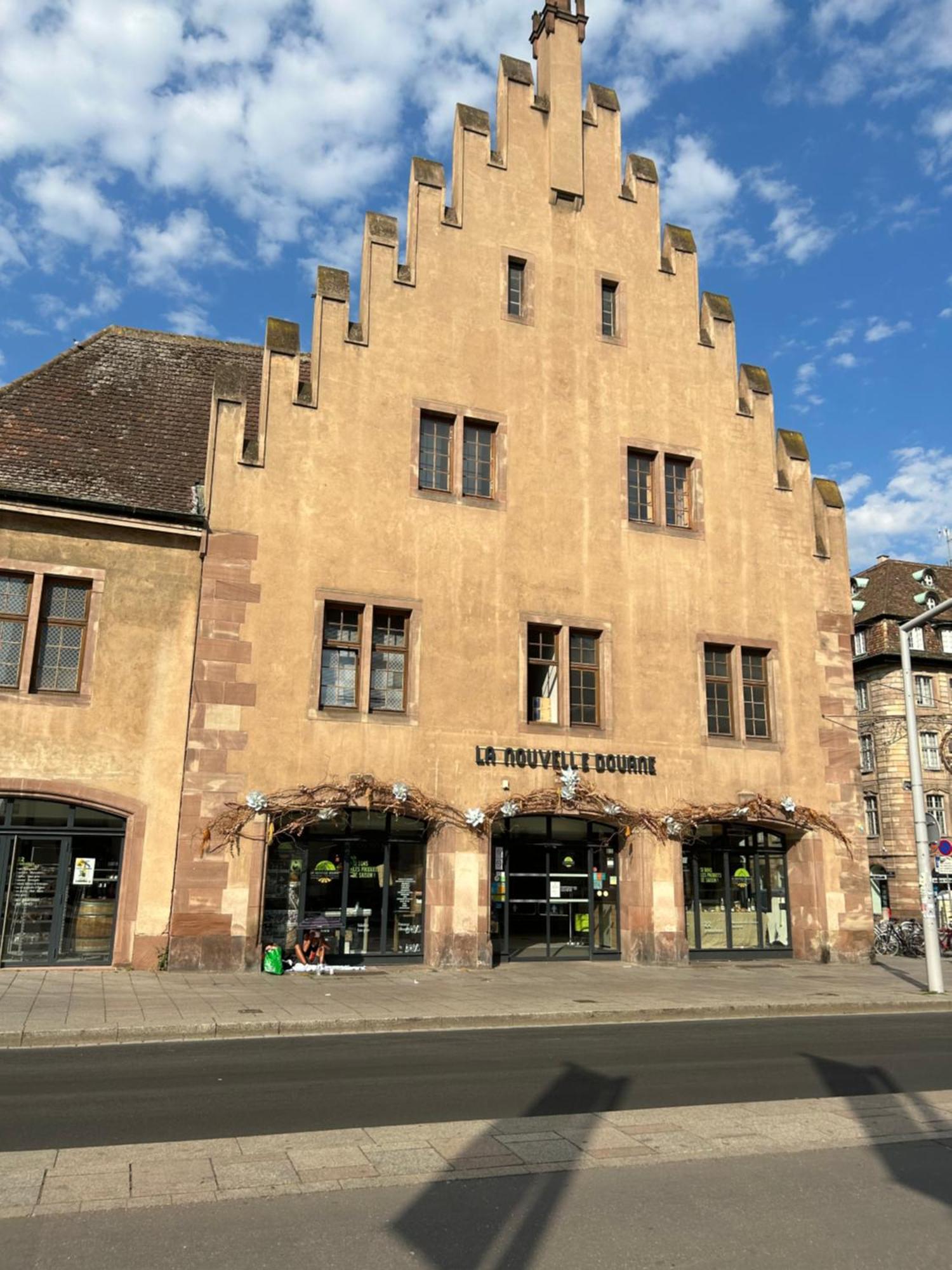 Hyper Center & Petite France - Entire Strasbourg