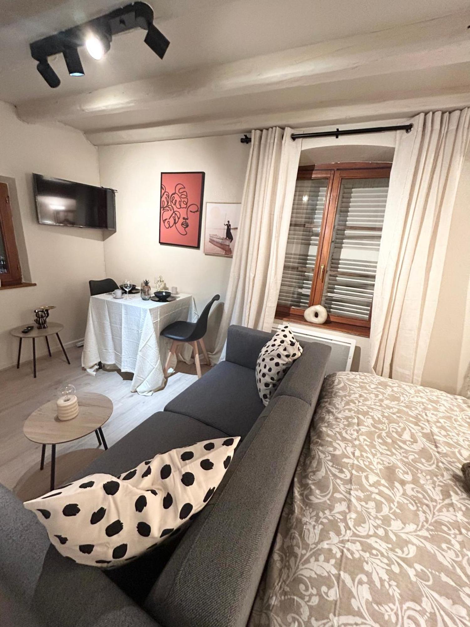 Apartment Hyper Center & Petite France - Entire