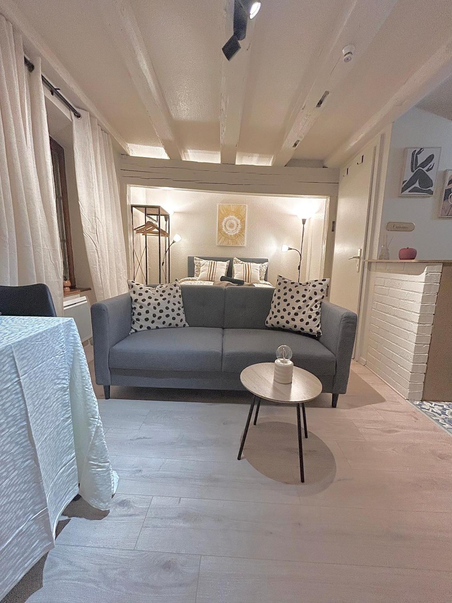 Hyper Center & Petite France - Entire Apartment Strasbourg