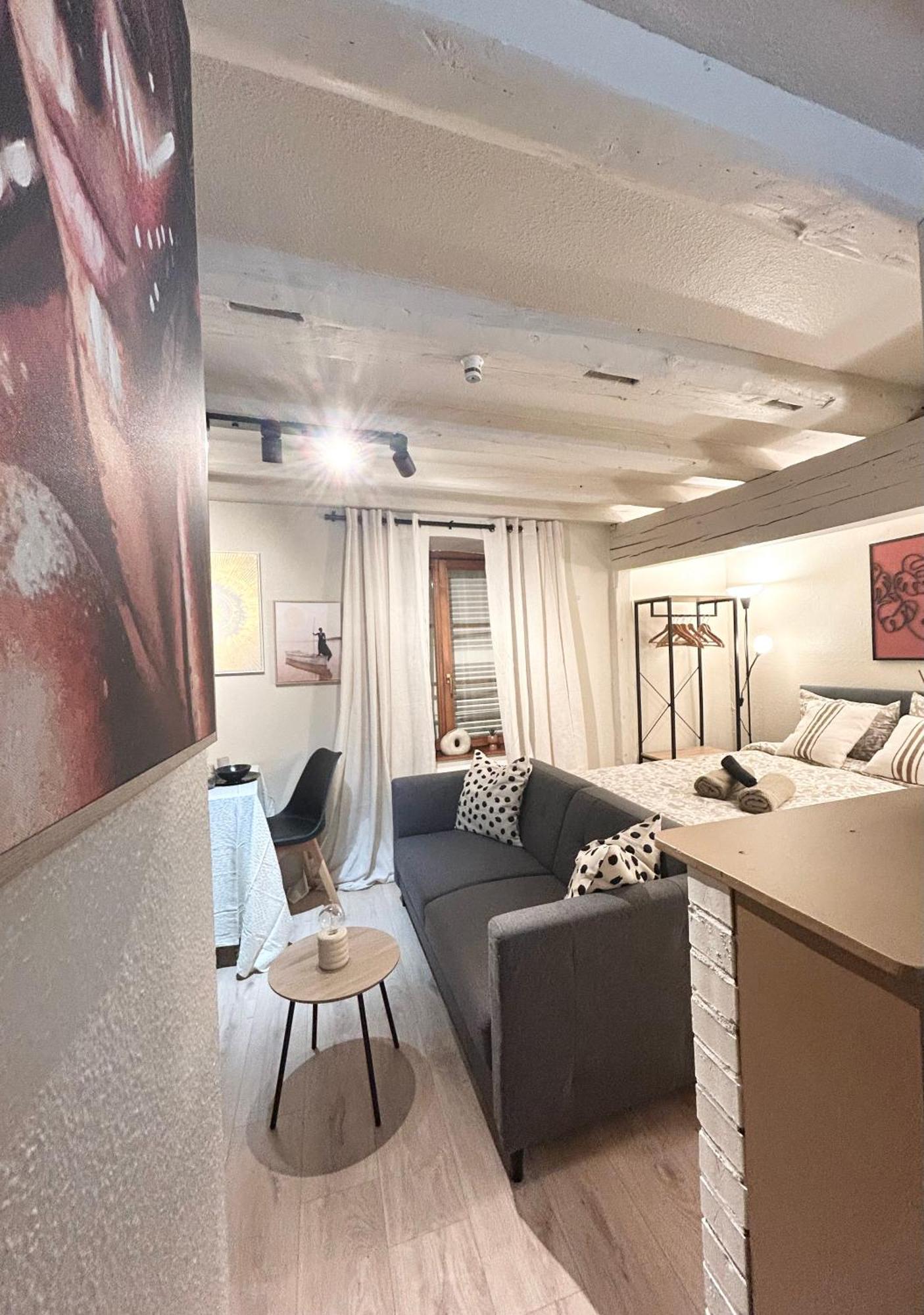 Apartment Hyper Center & Petite France - Entire