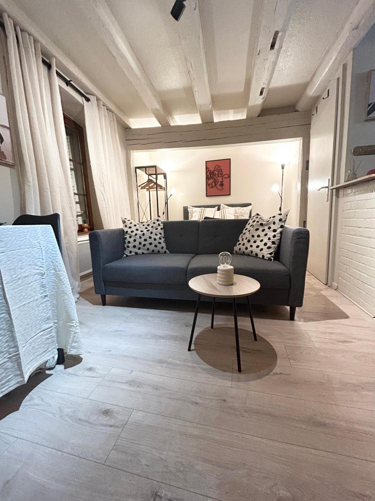 Hyper Center & Petite France - Entire Apartment *