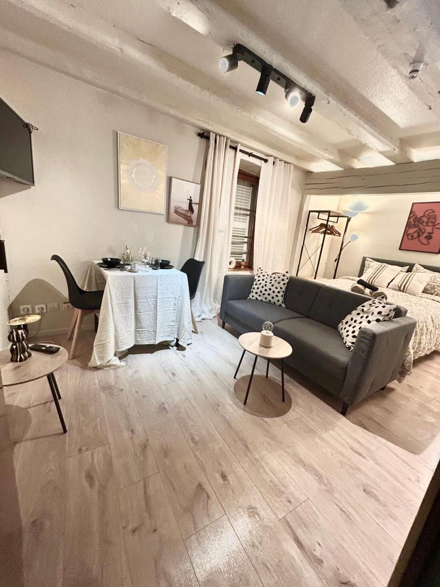 Apartment Hyper Center & Petite France - Entire *