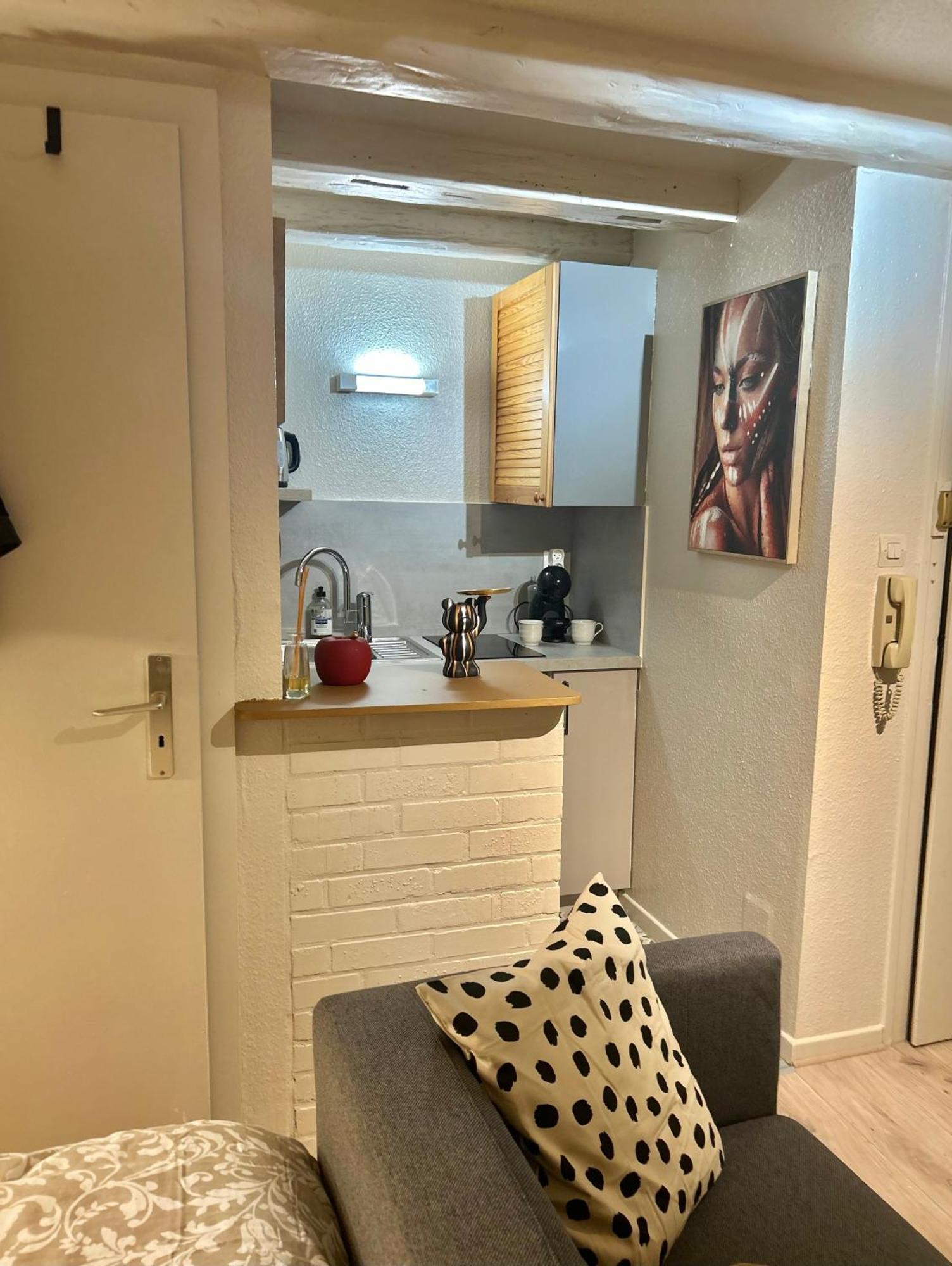 Apartment Hyper Center & Petite France - Entire