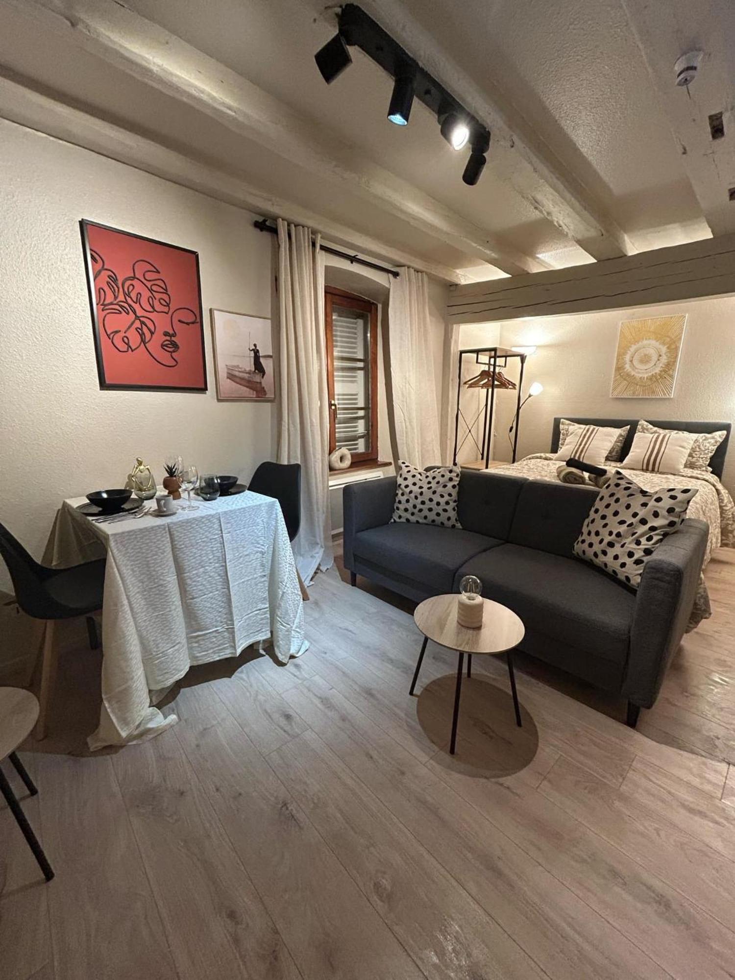 Hyper Center & Petite France - Entire Apartment