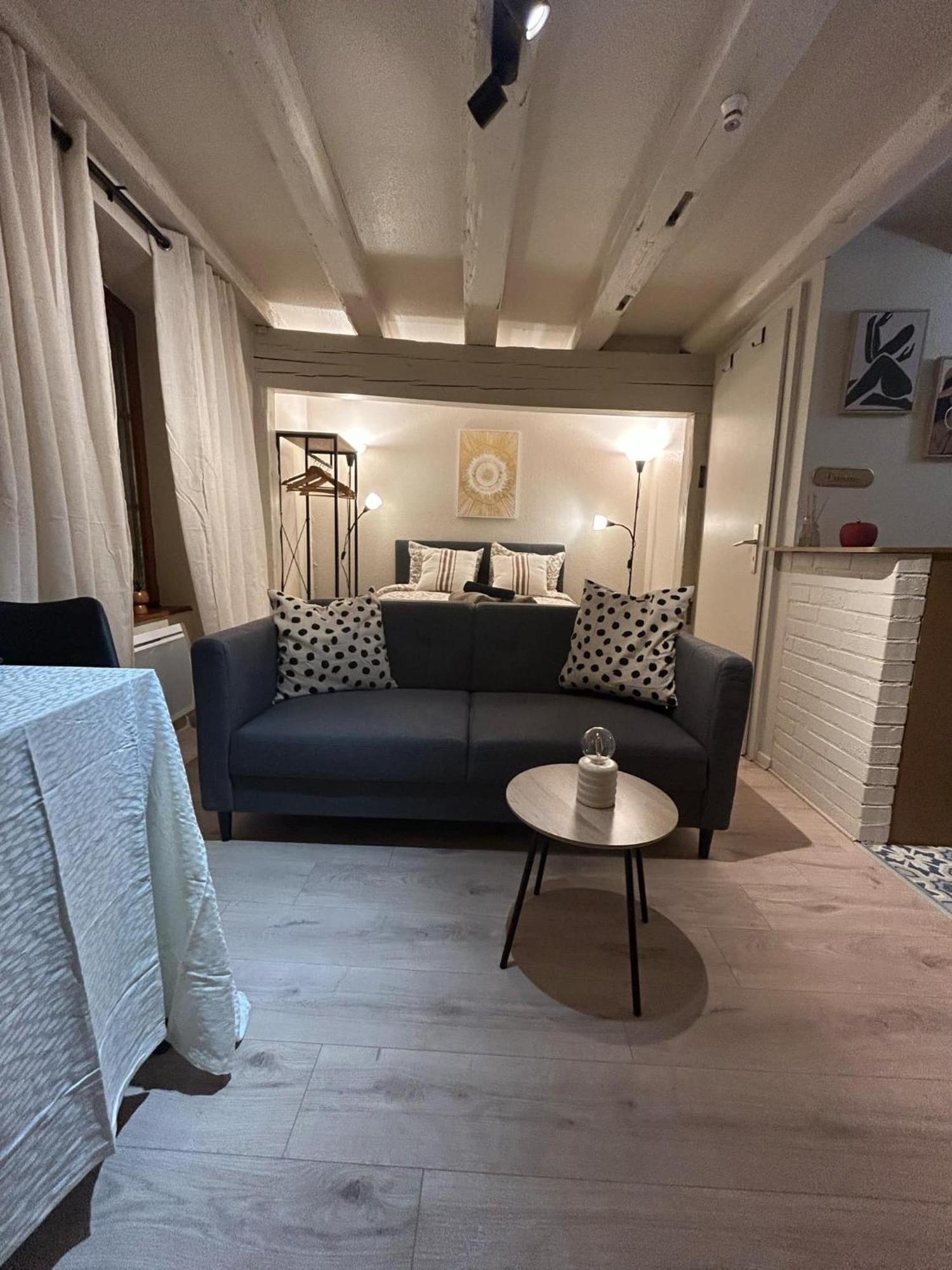 Apartment Hyper Center & Petite France - Entire *